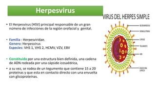 si mi pareja y yo tenemos herpes podemos tener relaciones|Tengo herpes labial ¿Puedo transmitirlo manteniendo relaciones。